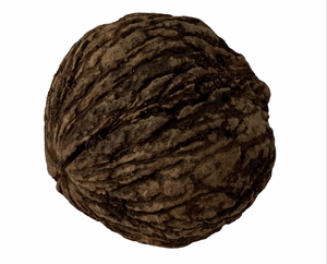 Eastern Black Walnuts (In Shell) 1 lb