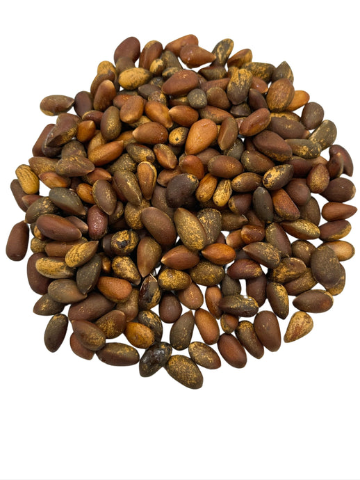 Pinon Nuts In Shell