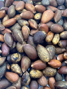 Close Up of In Shell Pinon Nuts